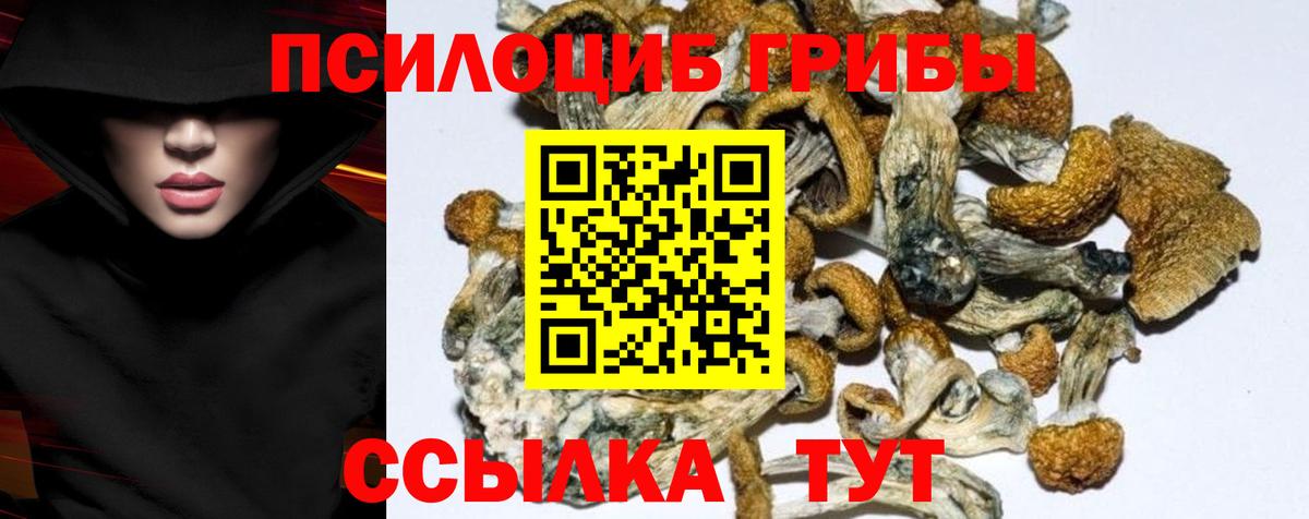 Галлюциногенные грибы Cubensis  Вход с VPN  Богородск 